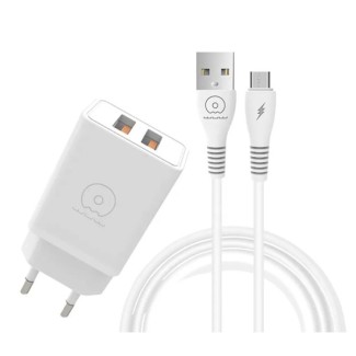 CHARGEUR WUW T55 3.1A POUR MICRO USB